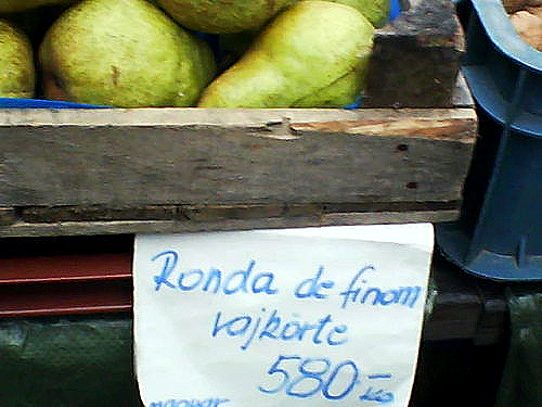 K%c3%b6rte zsofi(1)