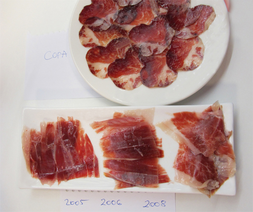 sseb joselito kostolo evszamokkal kicsi.jpg