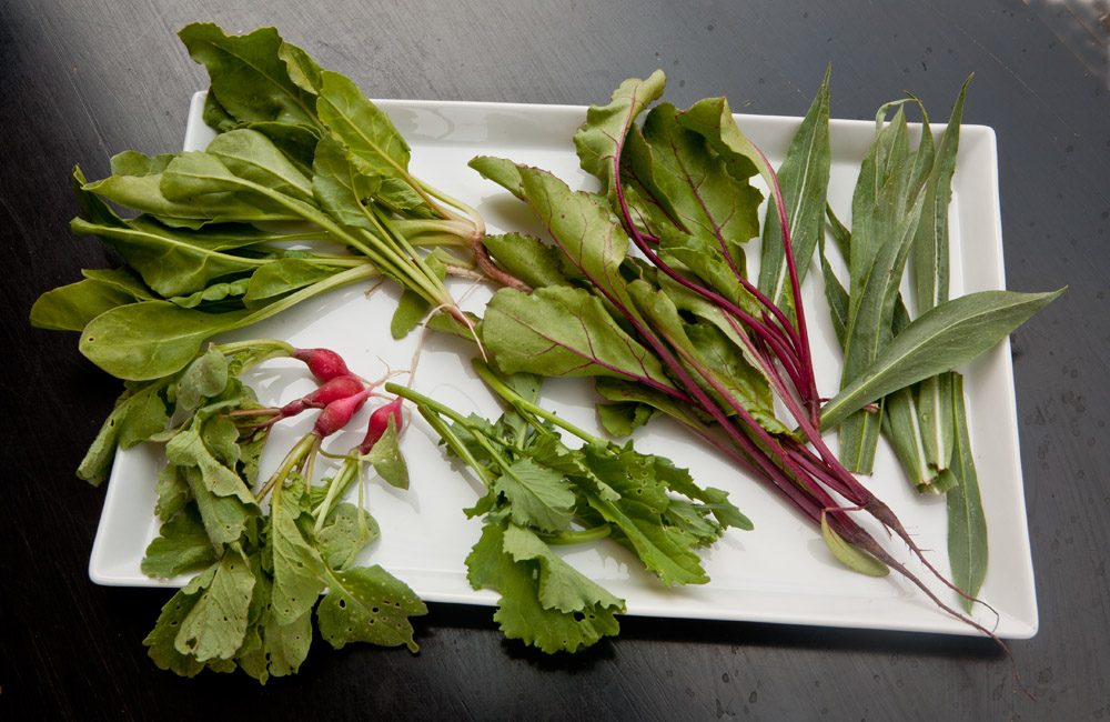 kalmar vegyes 0981 kicsi.jpg