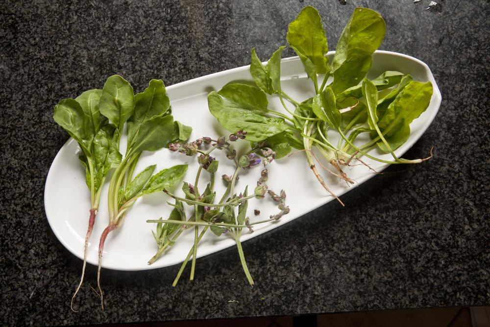 kalmar vegyes_1037 kicsi.jpg