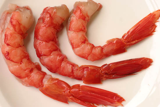 Carabineros kicsi