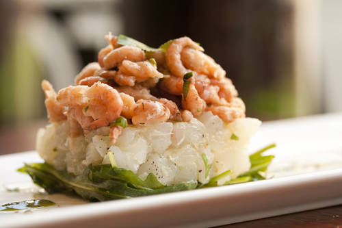 SW ceviche rakkal_8038.jpg