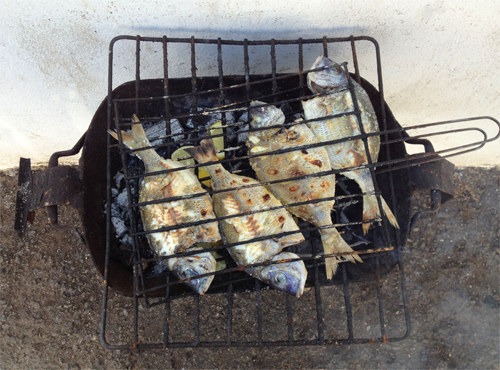 grill sargos sulve.jpg