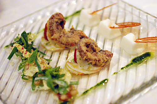 Coburg polip(1)