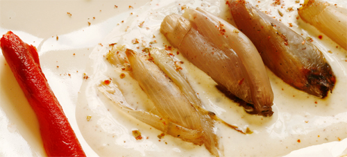 hagyma sult joghurt.jpg