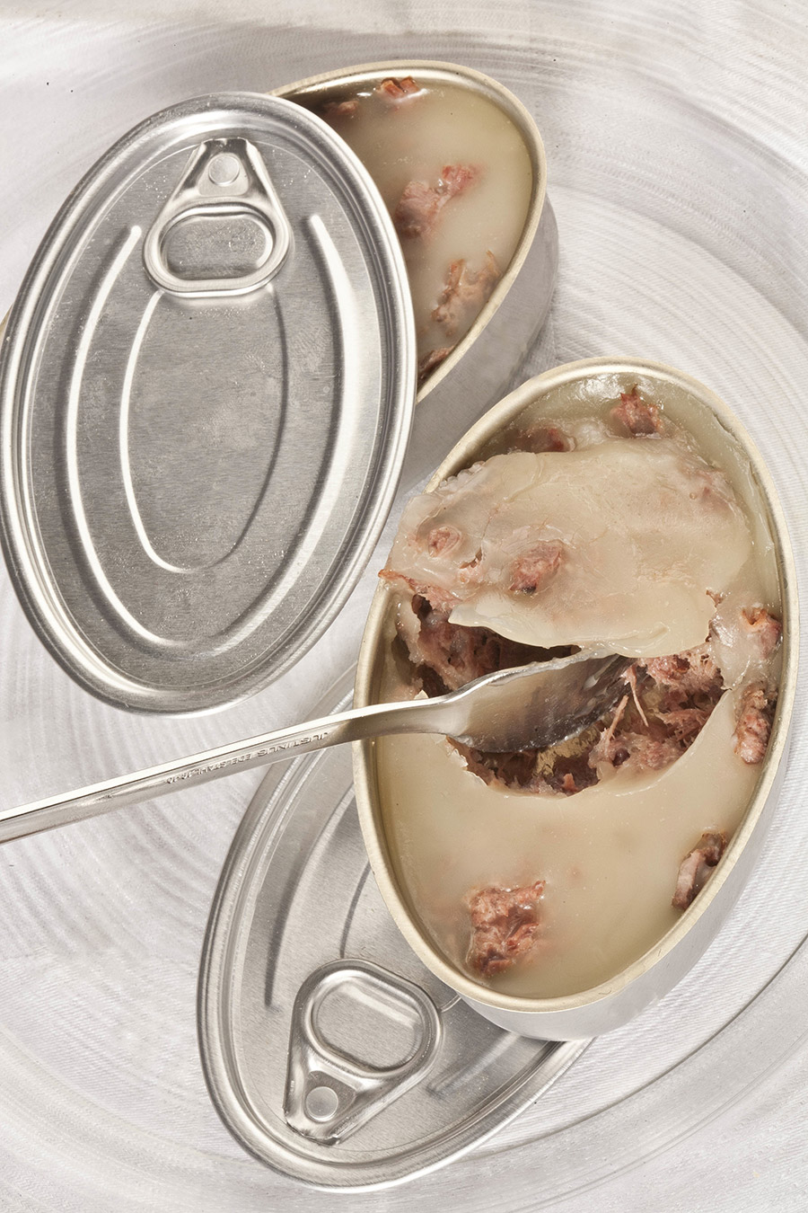 Rillettes