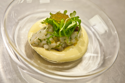 trettl hollandi espuma kicsi_0010.jpg