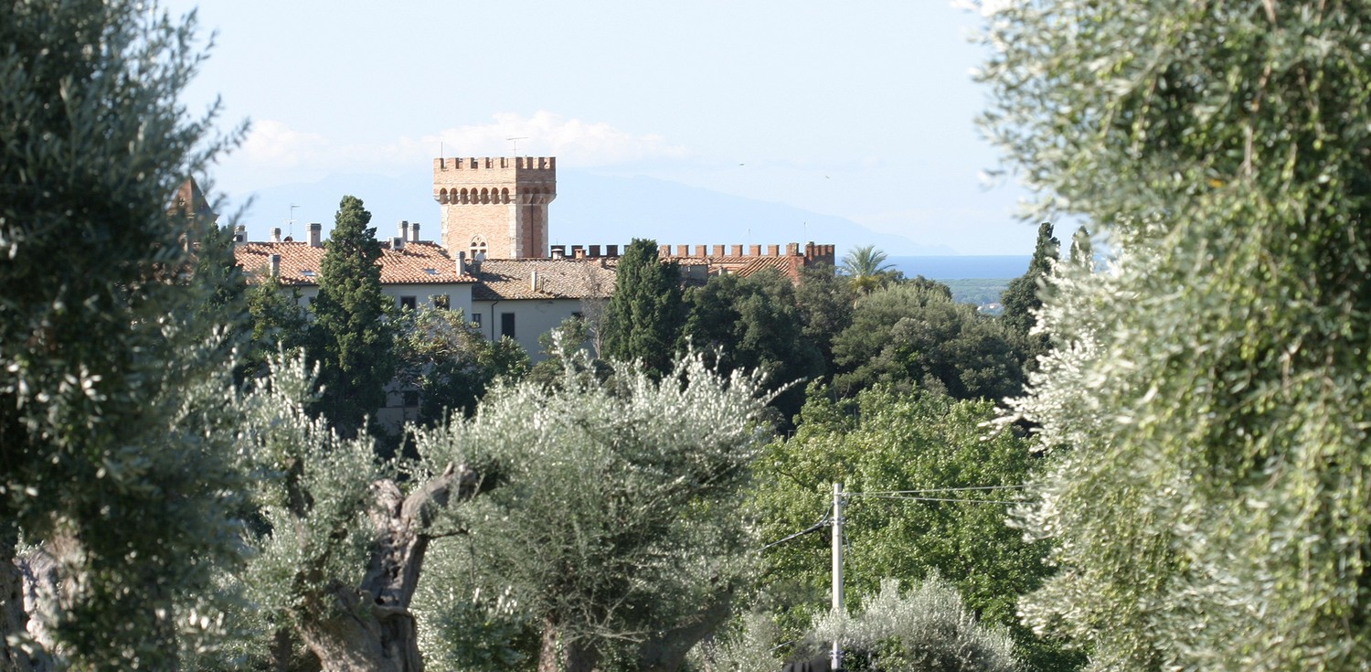 Bolgheri latkep 7128