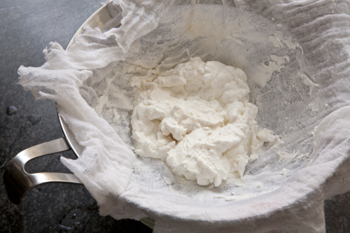 Csusza turo lecsopogtetve 0843