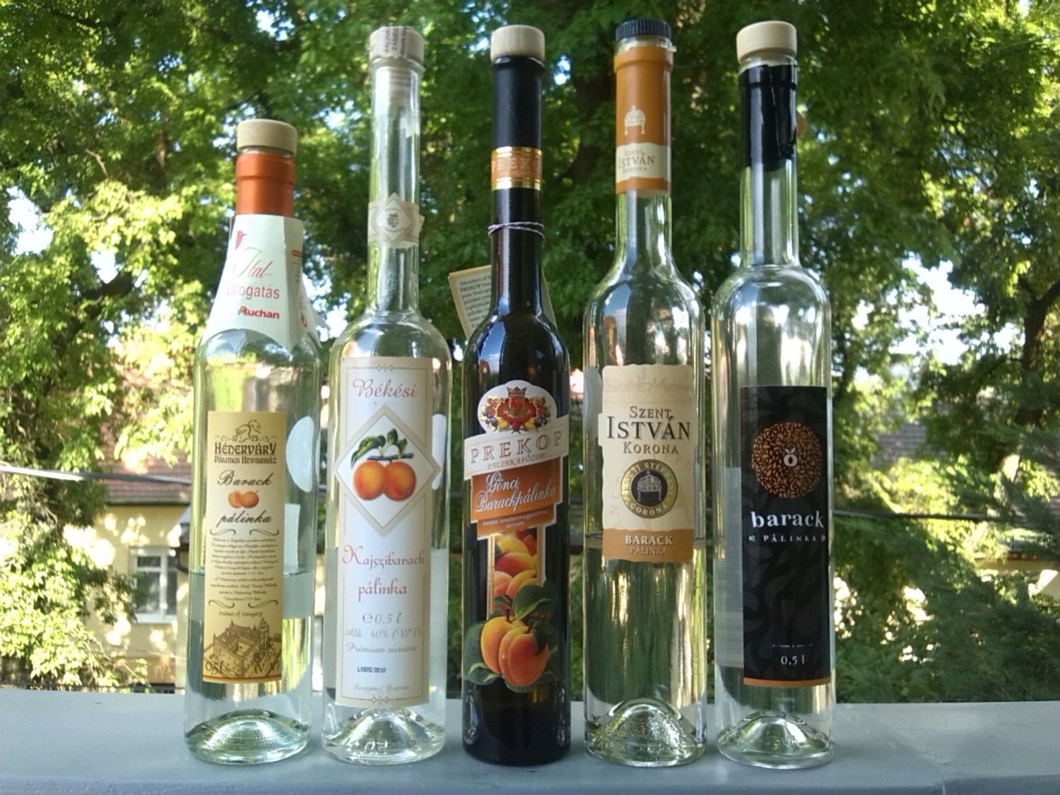 Palinka4