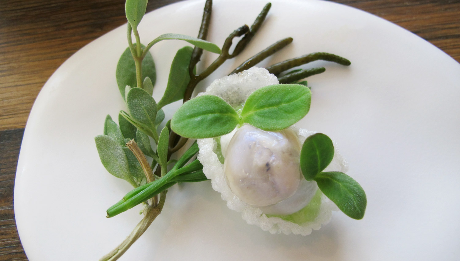 2amuse tapioka osztriga borago 2207