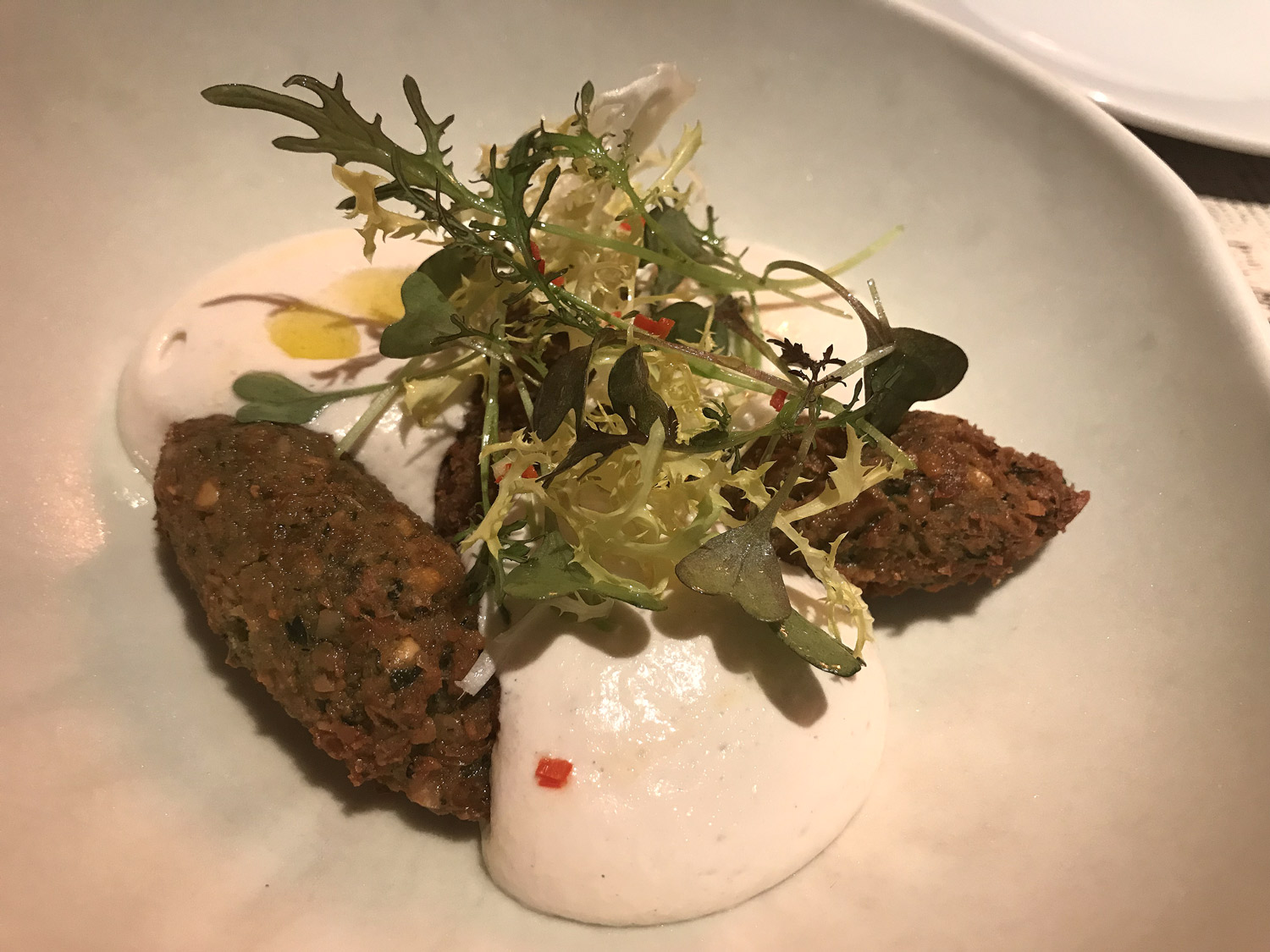 Yossi falafel img 5157
