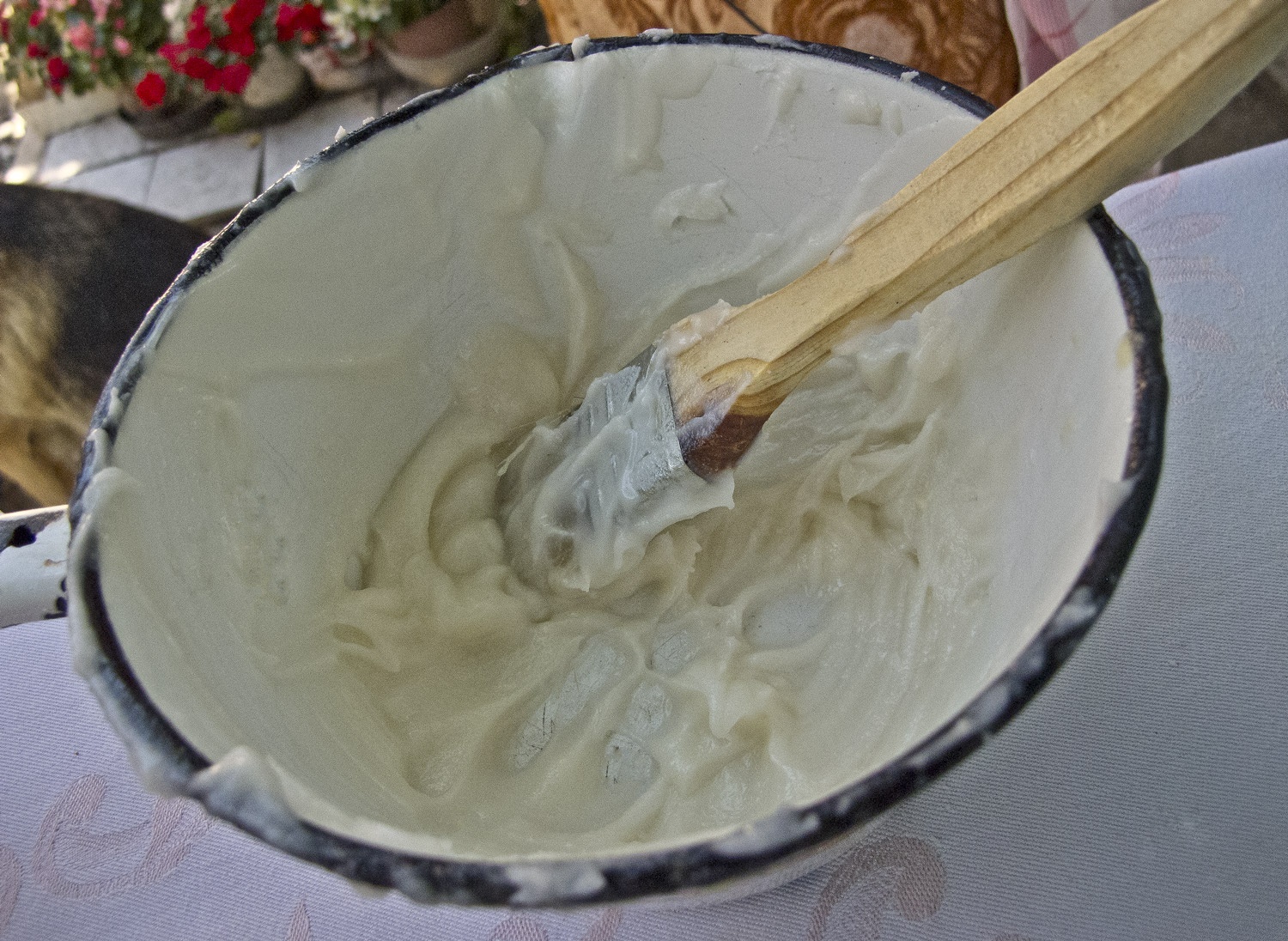 Retes zsir img 5234