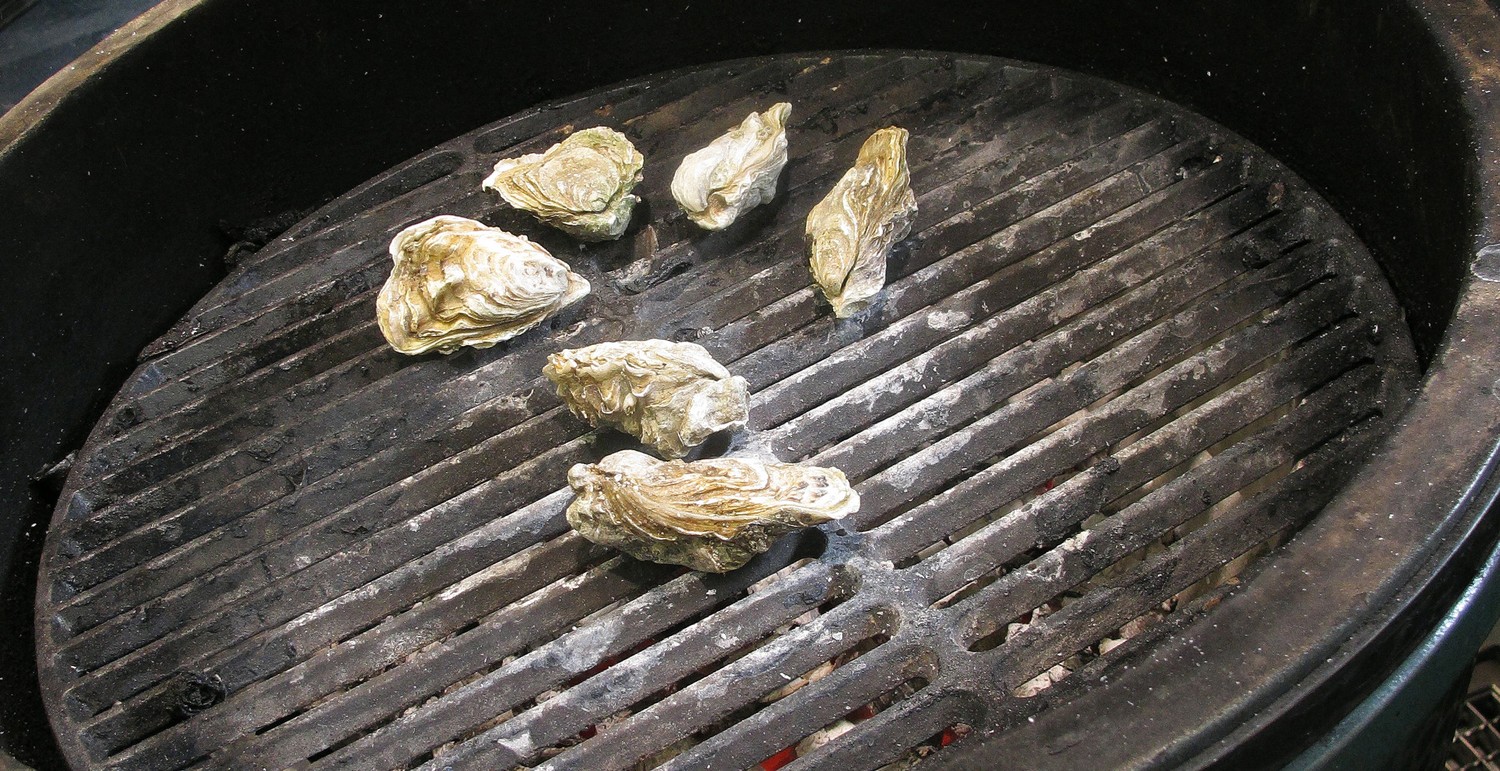 Crenn osztriga green egg 4218