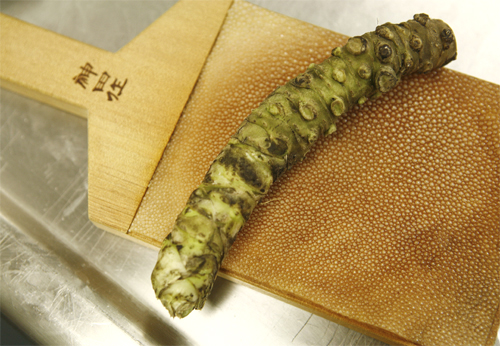 Wasabi kicsi