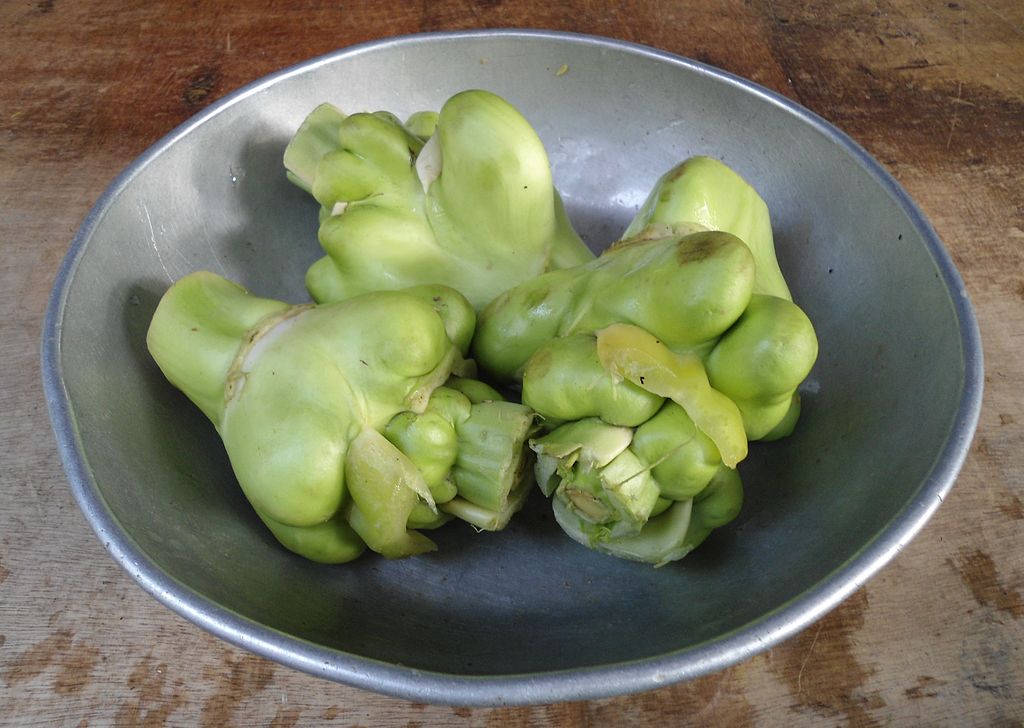 Brassica juncea subsp. tatsai   zha cai (zh%c3%a0 c%c3%a0i %e6%a6%a8%e8%8f%9c)