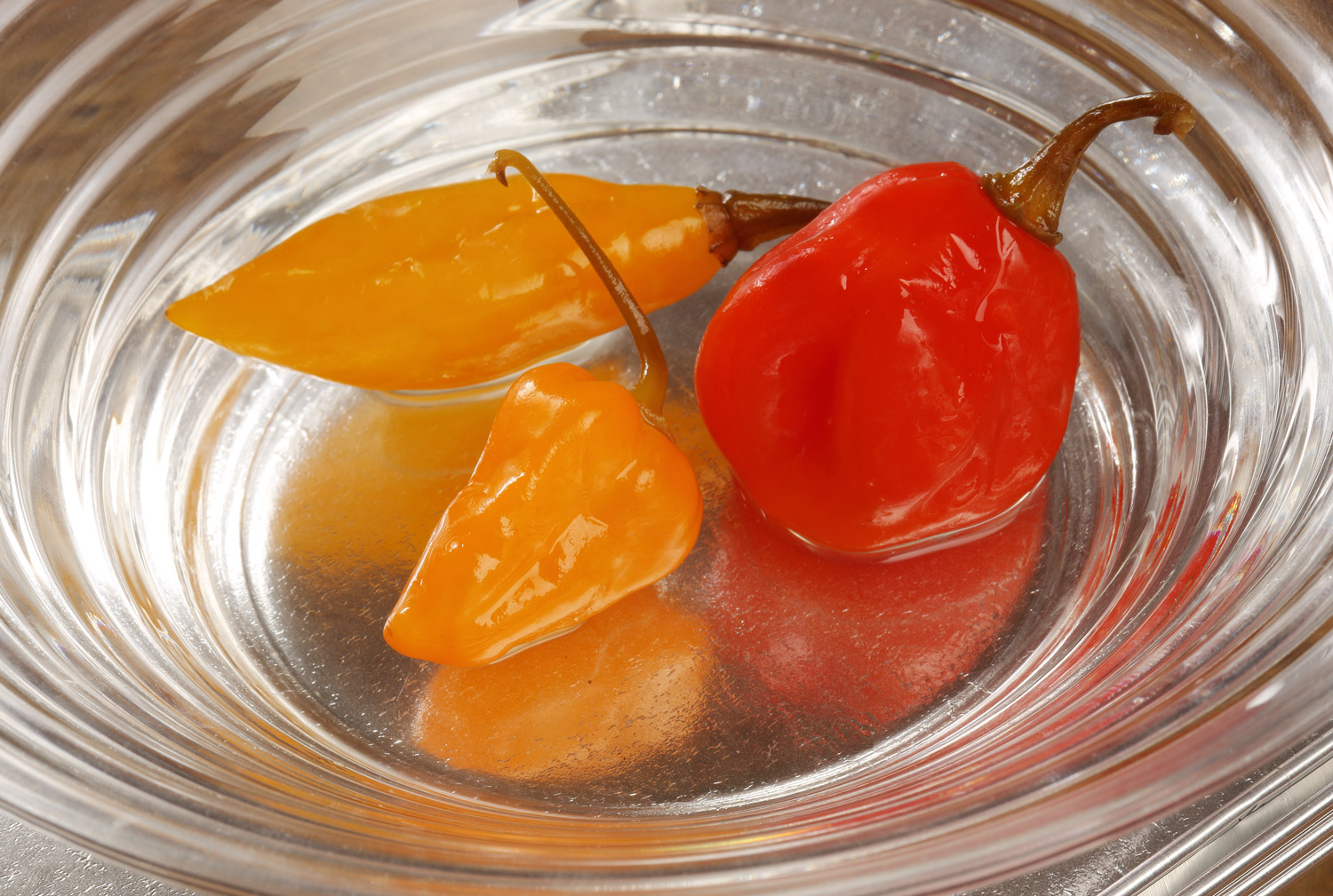 Savanyu paprika 1593