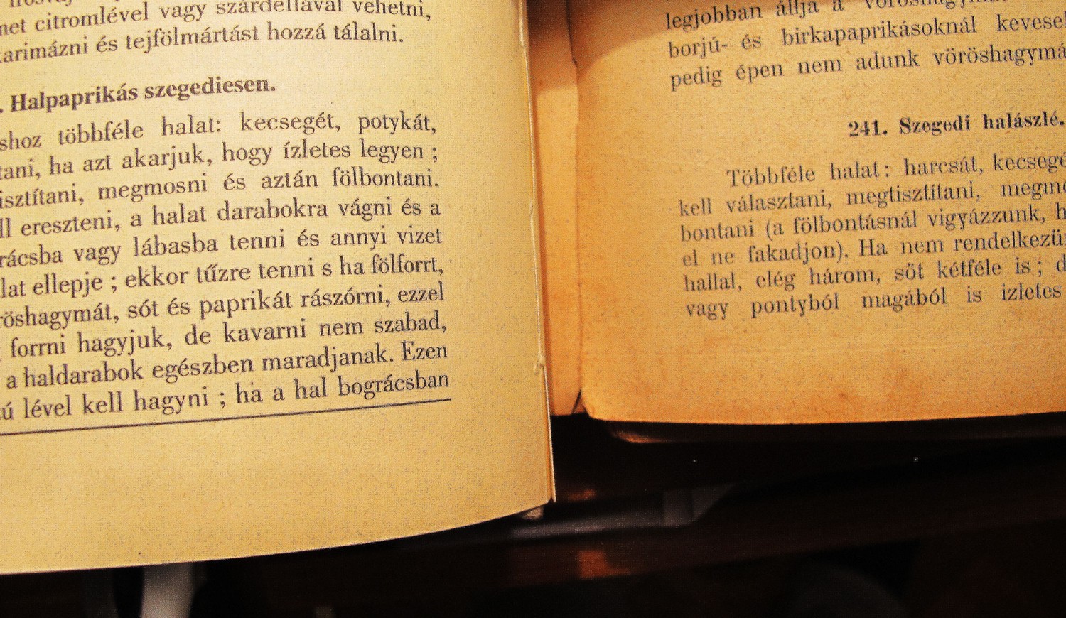 Szegedi halaszle receptek 5611