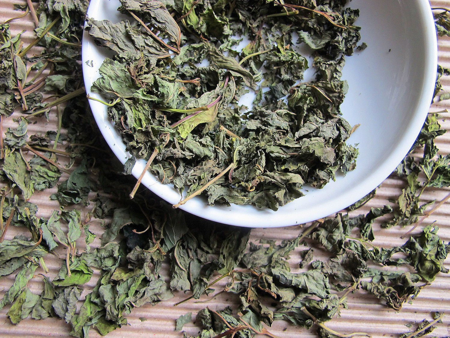 Menta 6815
