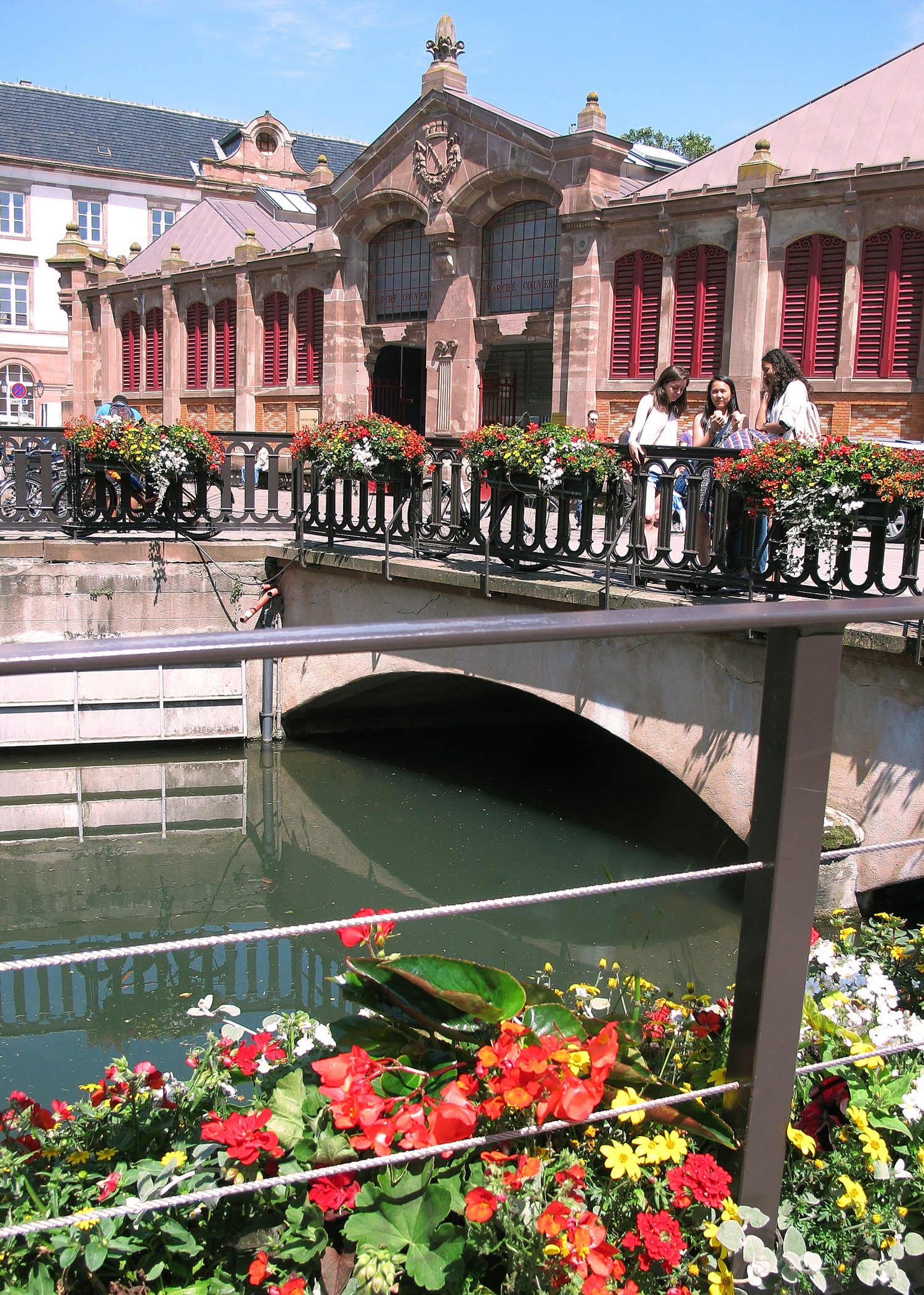 Colmar piac 7531