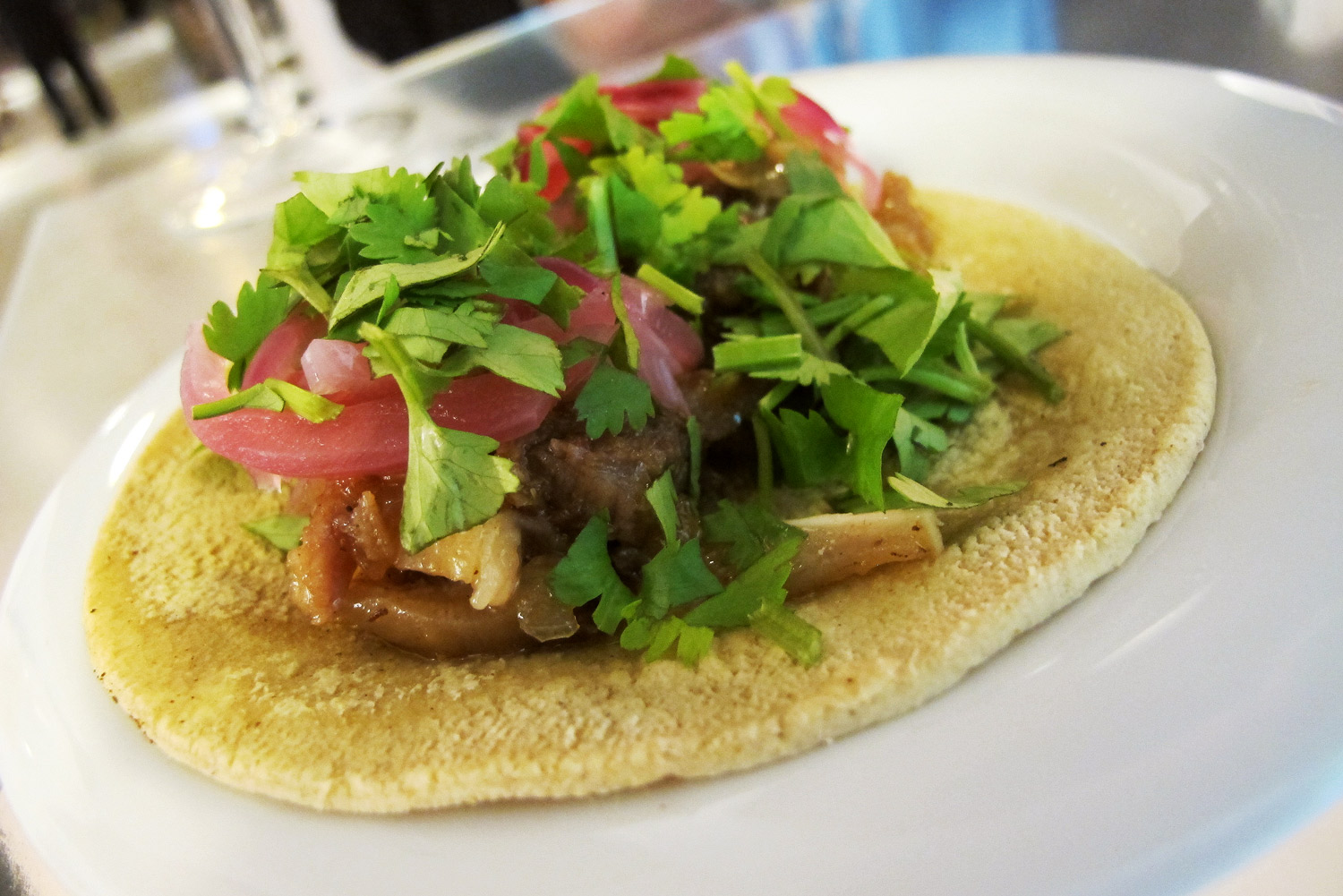 Taco zinter 1959