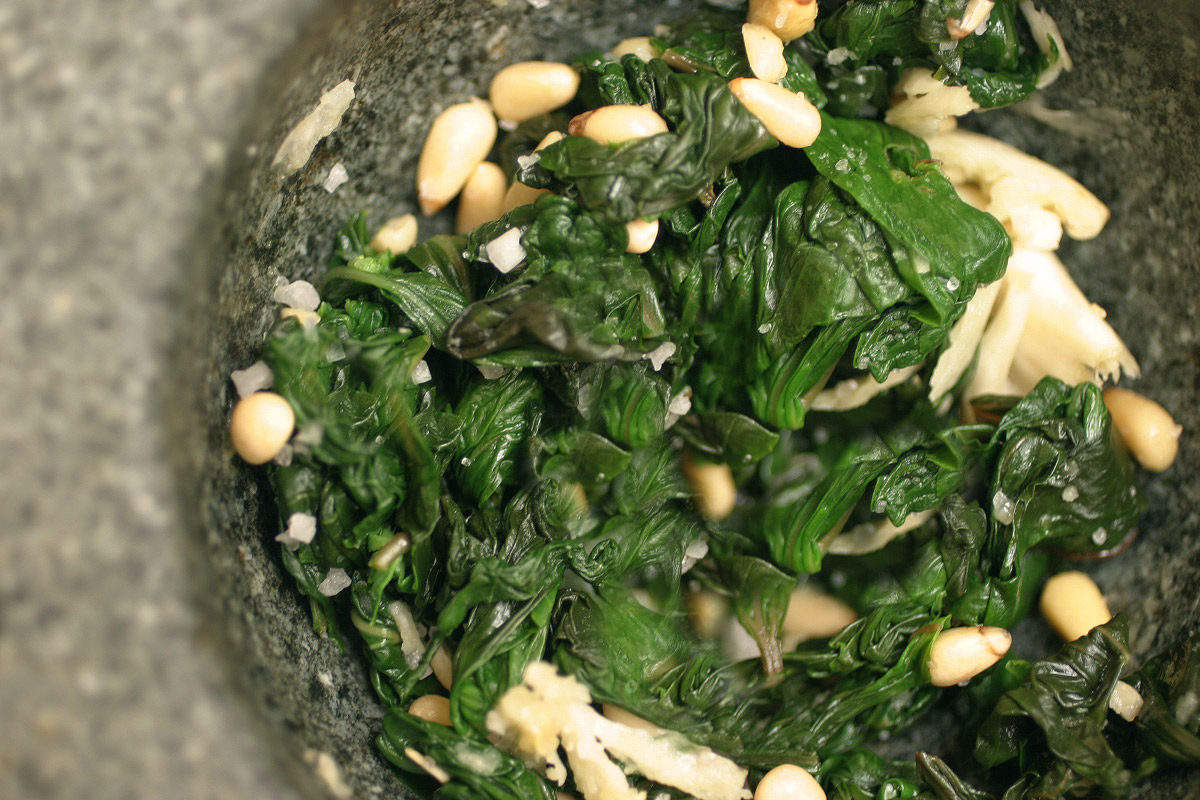 Herbes peszto mozsarban 1598