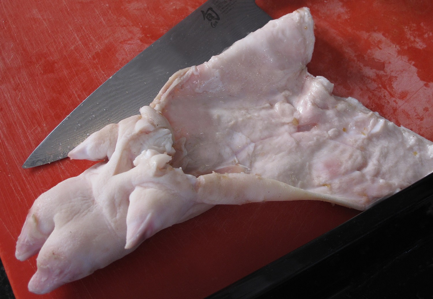 Cotecchino t%c3%b6lt%c3%a9s img 1112