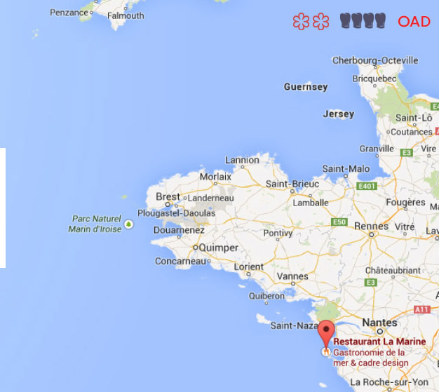 Noirmoutier te%cc%81rke%cc%81p