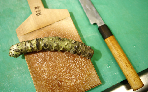 M%c3%b6rth wasabi(1)