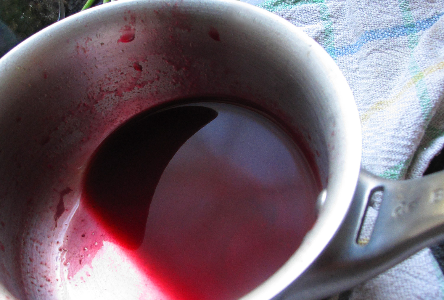 Img 0049