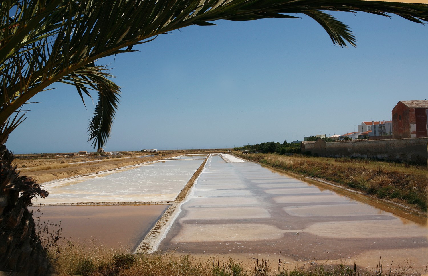 Tavira sobanya mg 7189
