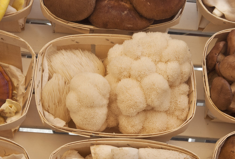 Gomba pompom