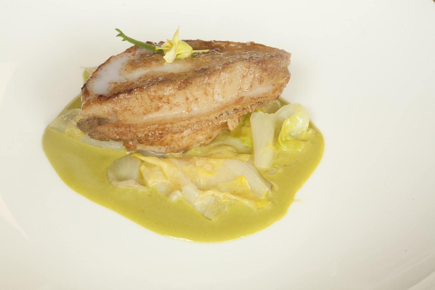 Paterson abalone endivia 0216