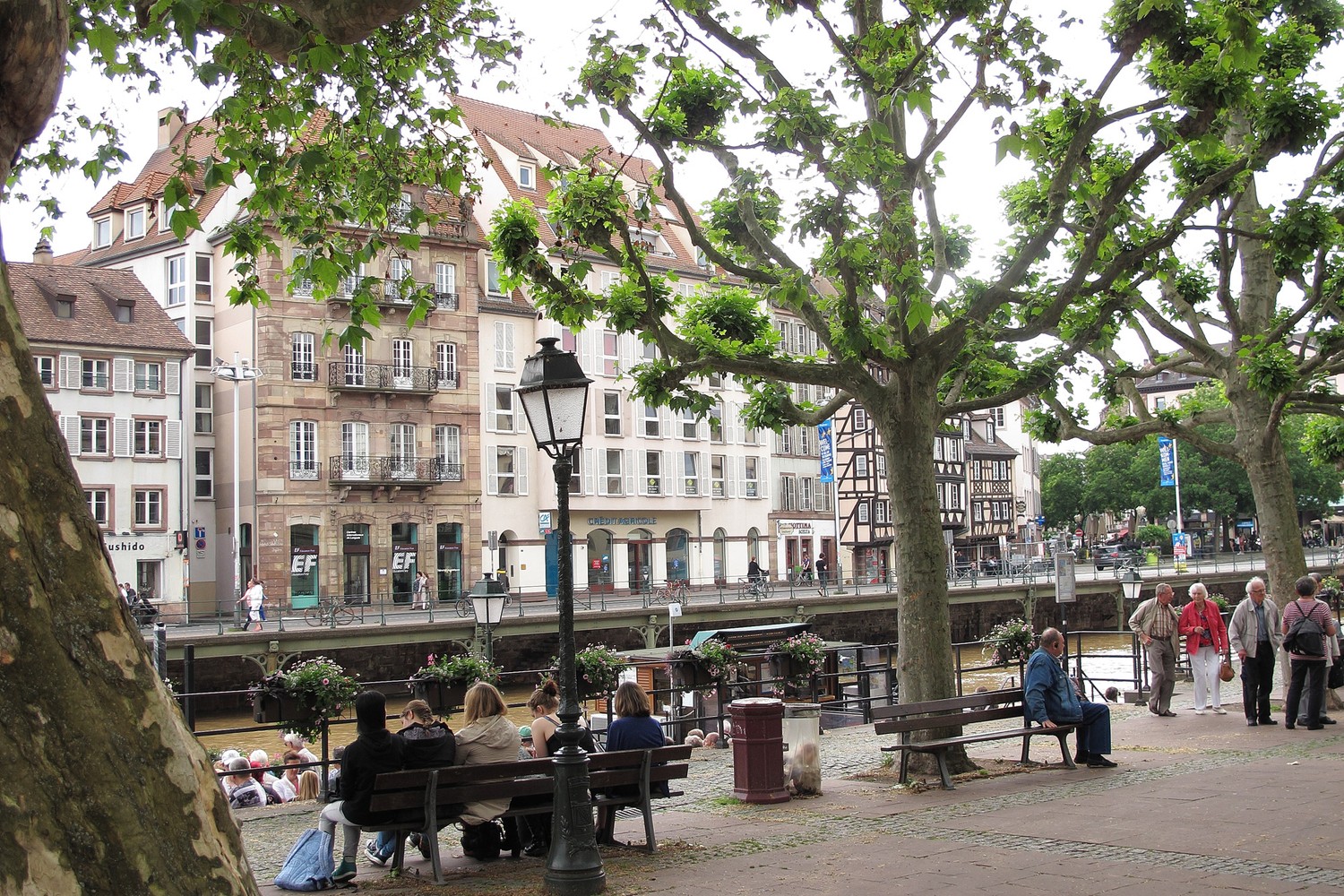 Strasbourg park 7371