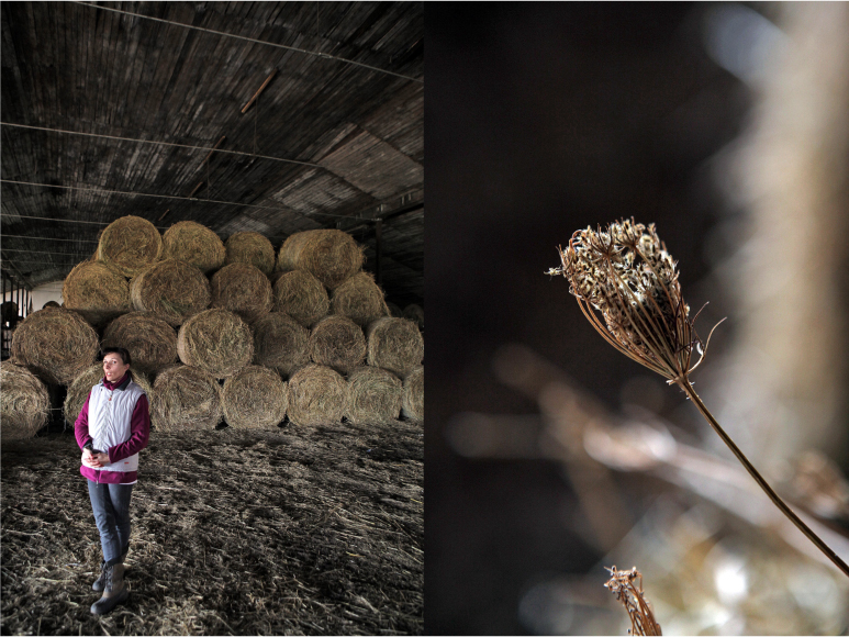 Szena