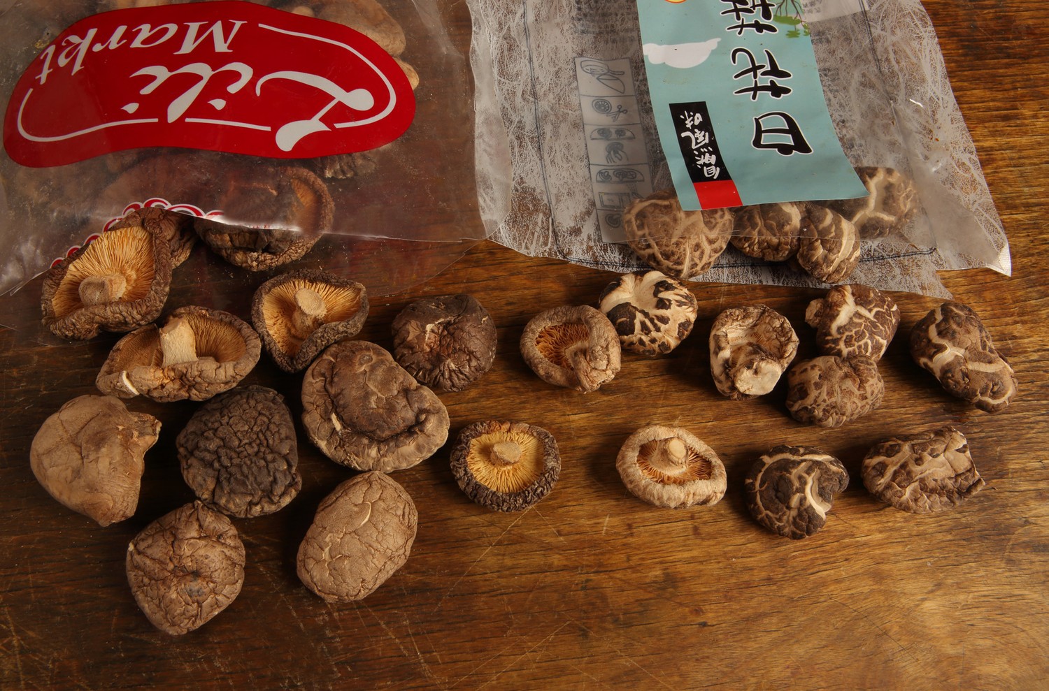 Shiitake k%c3%a9tf%c3%a9le img 9723