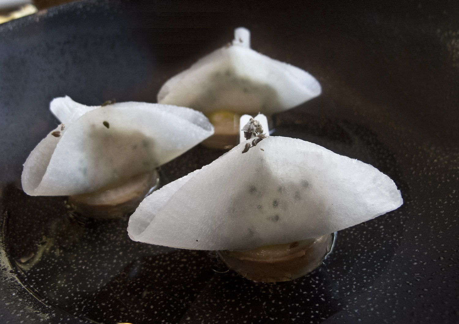 Gert retek raviolo 3124