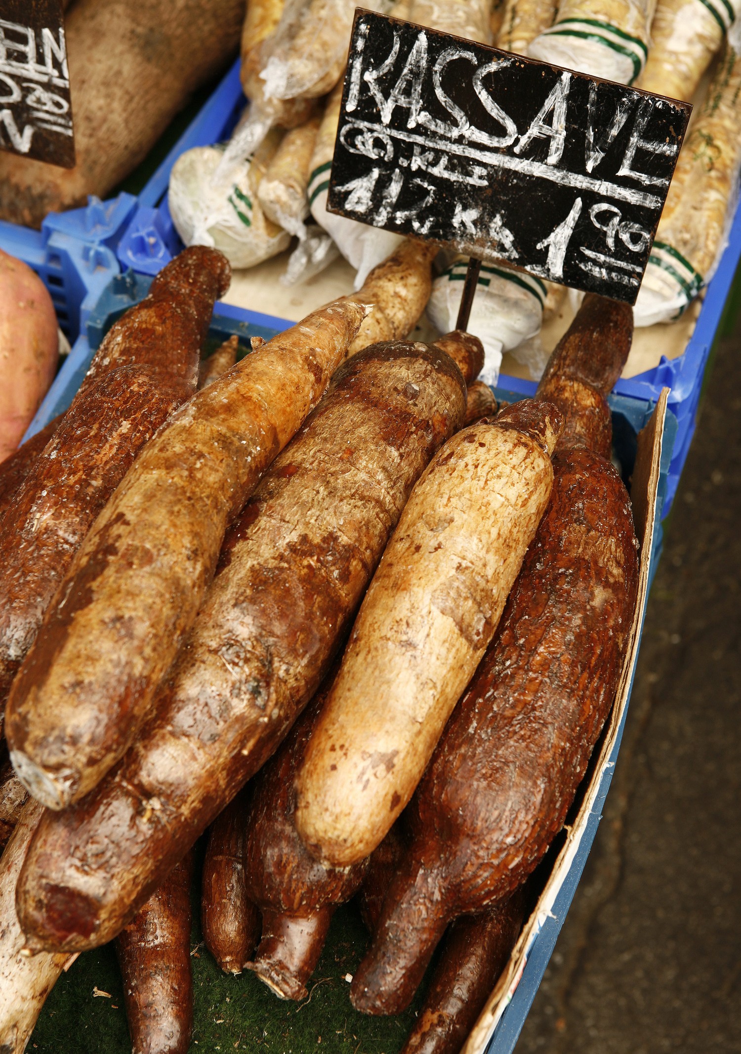 Kassava manioka gy%c3%b6k%c3%a9r mg 0124