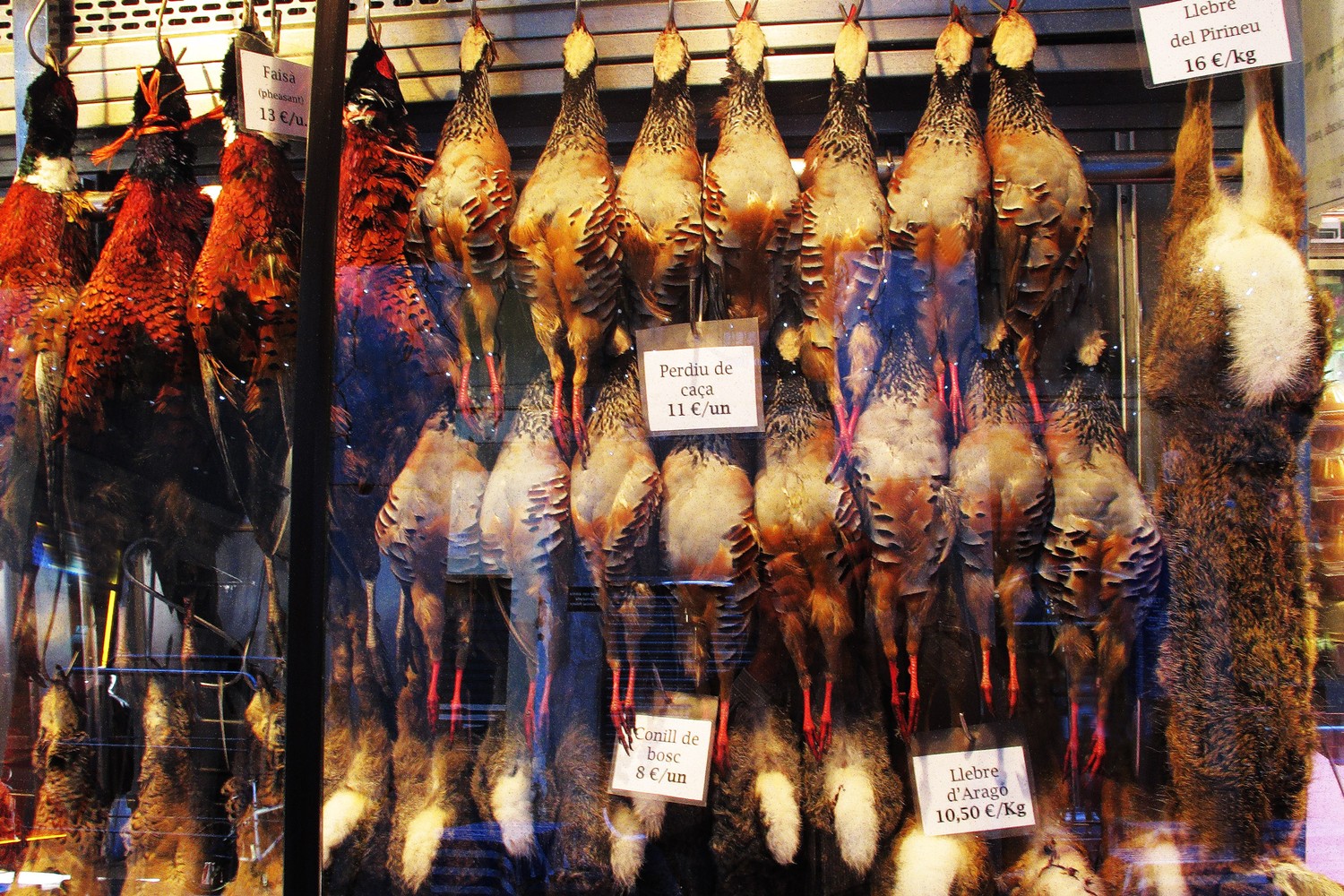 Boqueria vadmadarak img 1163