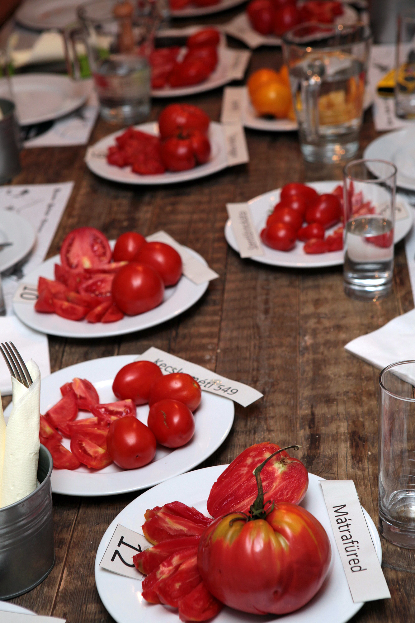 Img 0634