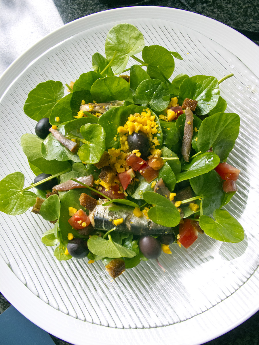 Salataboglarka salata 0425