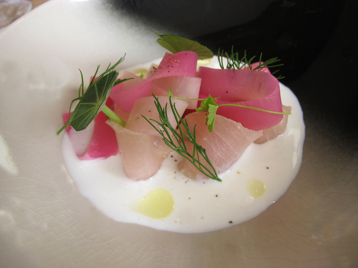 Bentley king fish beets 1544