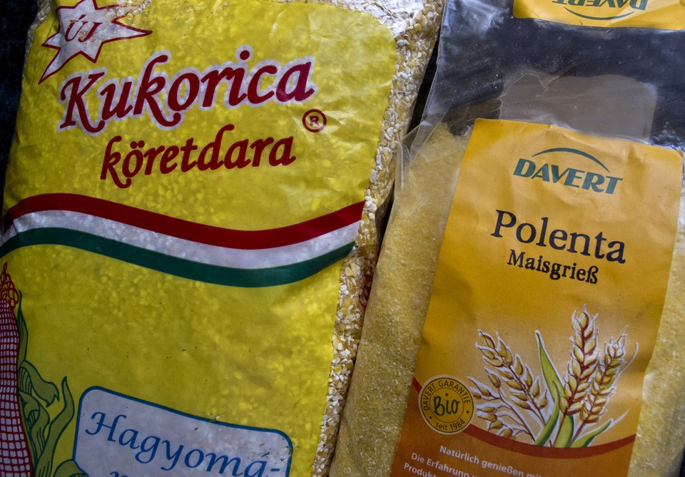 Polenta dara zacsko 0036