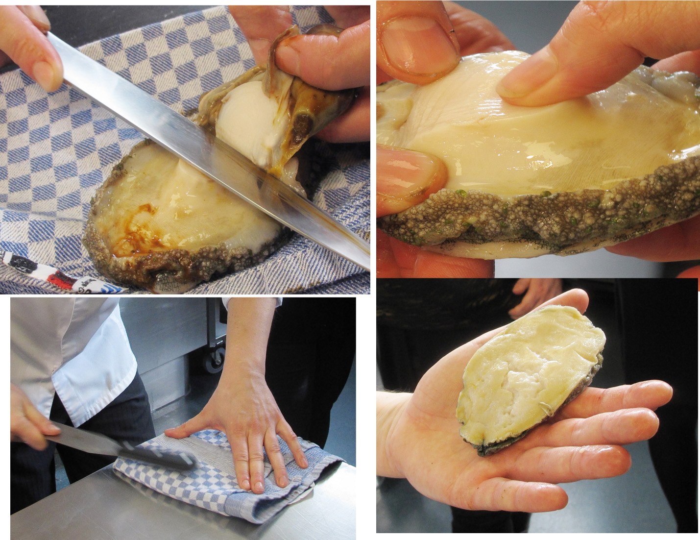 Abalona masodik negyed