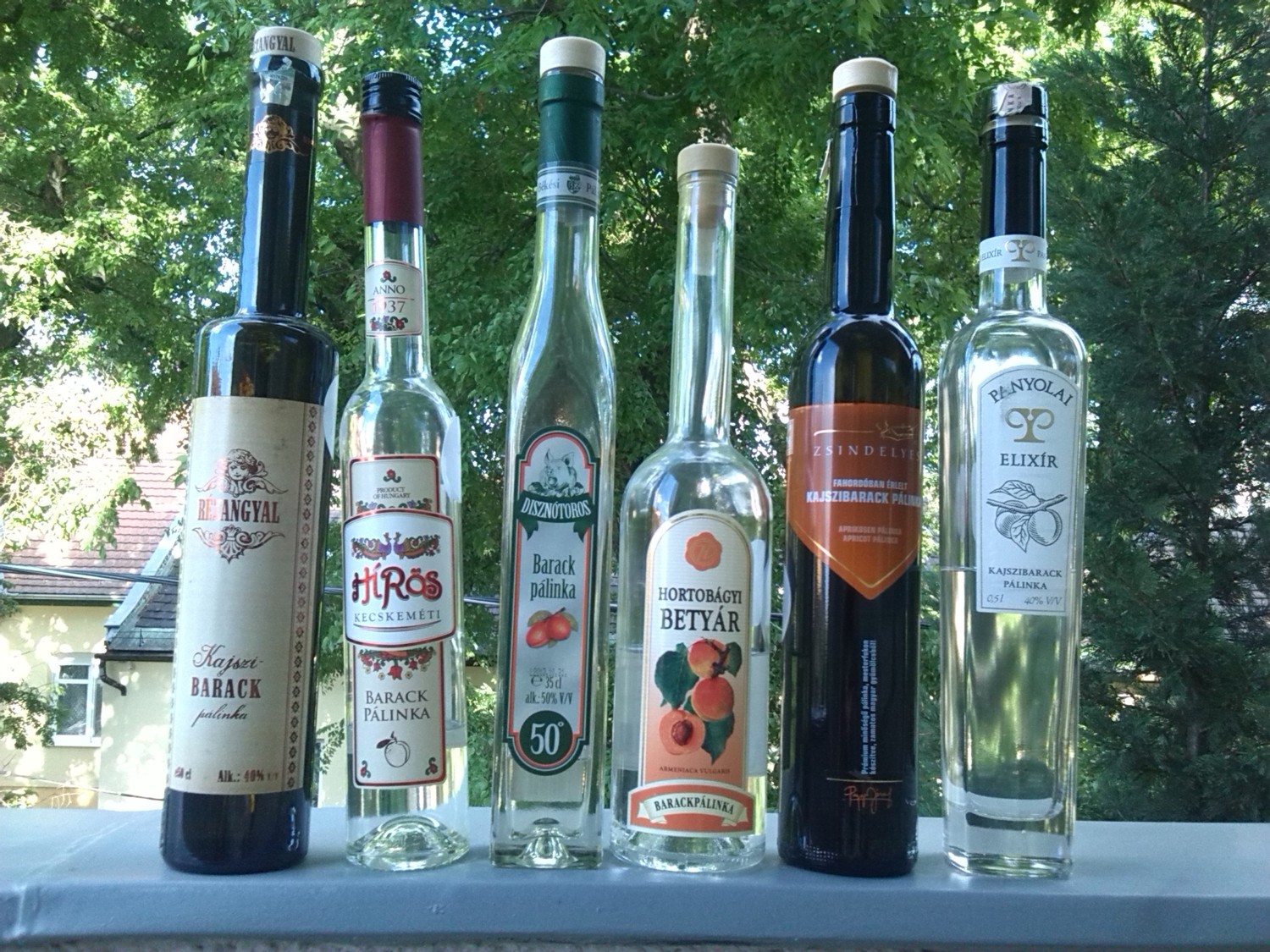 Palinka3