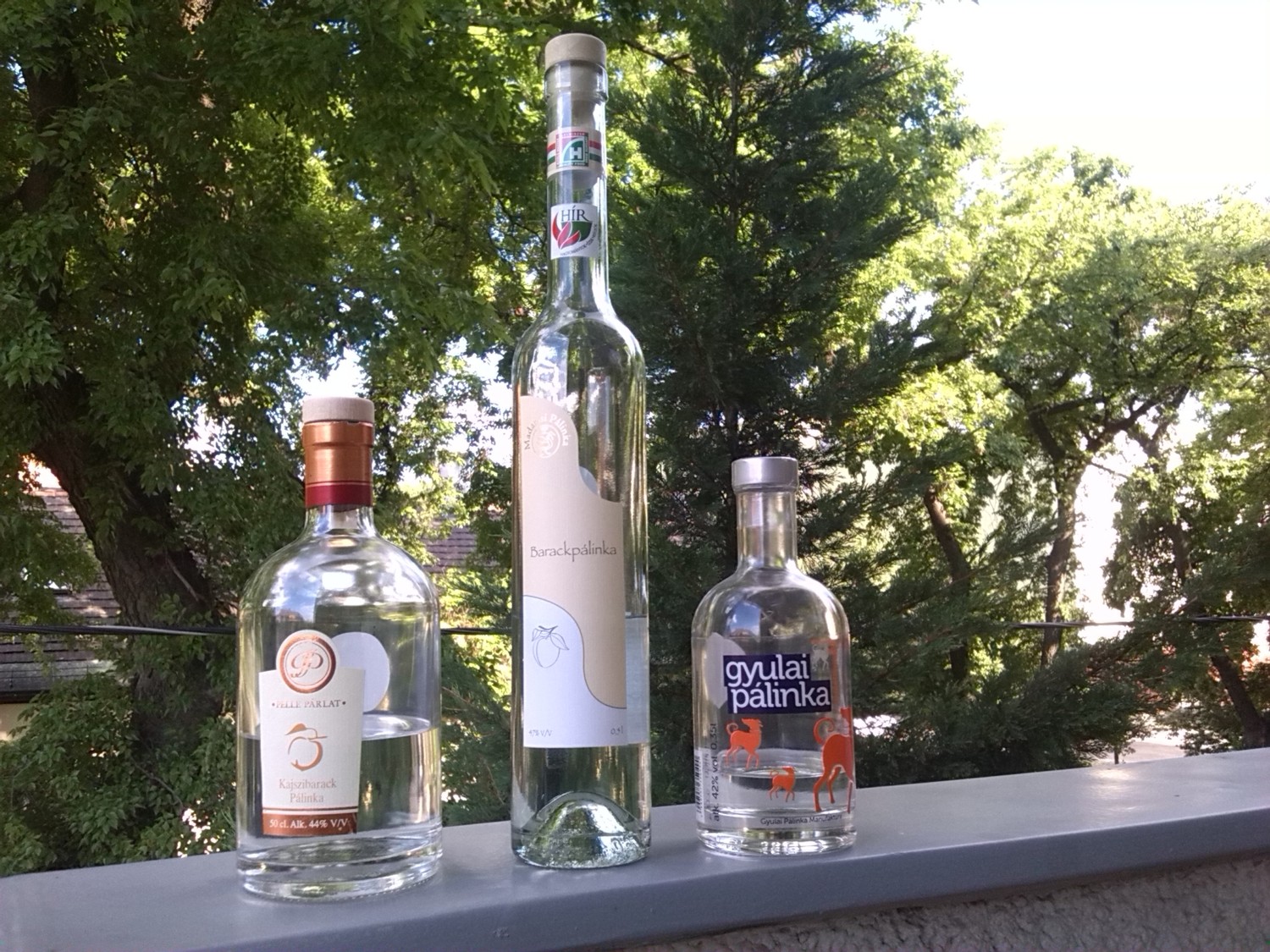 Palinka2