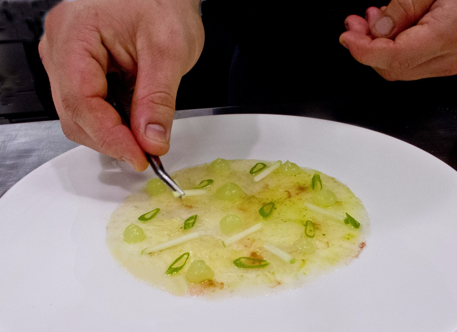 Brevet carpaccio 4247