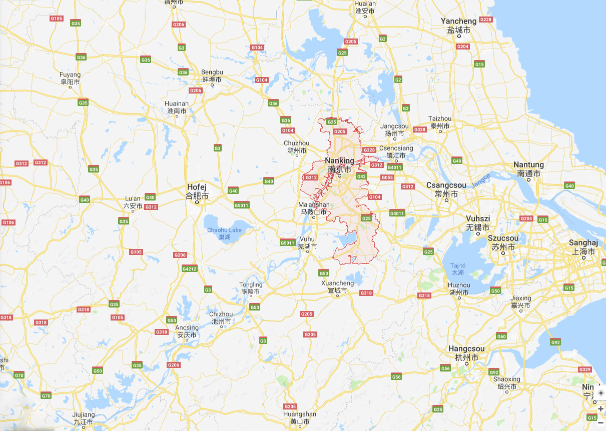 Nanking vizei